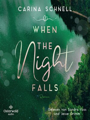 cover image of When the Night Falls (Sommer in Kanada 2)